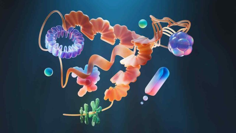 Devrimsel Gelişme: Diyabet Gen Terapisi Böbrek Hasarını Önlemede Nasıl Çığır Açıyor?